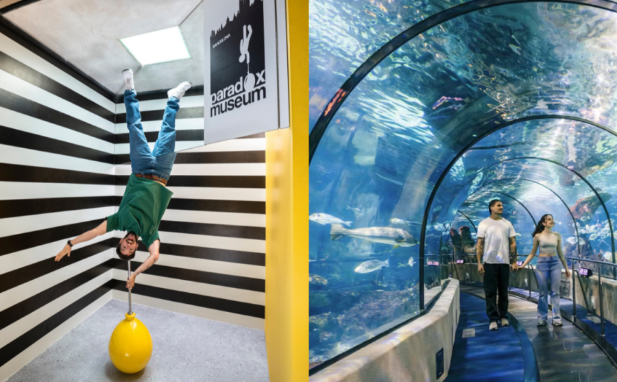 Paradox Museum Barcelona + Aquàrium de Barcelona