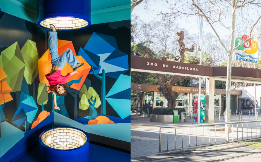 Paradox Museum Barcelona + Zoo de Barcelona